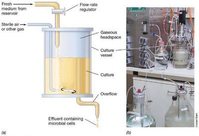 Chemostat components and setup