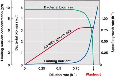 Steady-state relationships in the chemostat