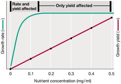 Effect of nutrients on growth rate and yield