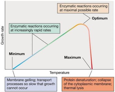 Cardinal temperatures for microbial growth