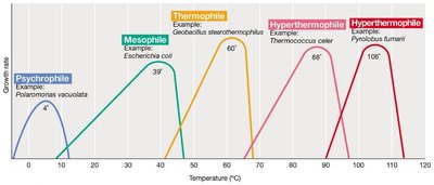 Temperature and growth response in different temperature classes