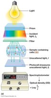 Spectrophotometer diagram