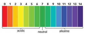 pH scale showing acidic, neutral, and alkaline ranges