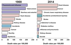 Bar graph comparing causes of death in 1900 and 2014