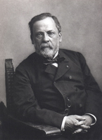Portrait of Louis Pasteur