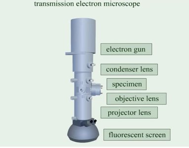 Transmission electron microscope diagram
