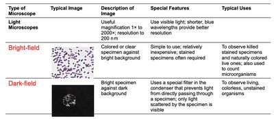 Probe microscopy: STM and AFM images