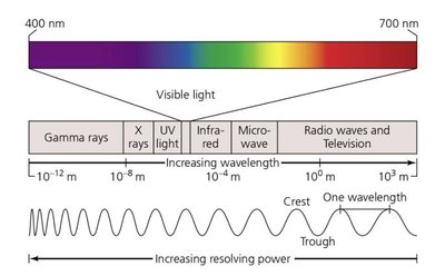 Electromagnetic spectrum and visible light