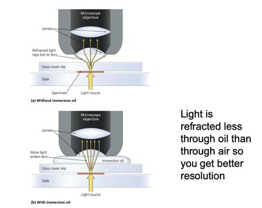 Effect of immersion oil on resolution