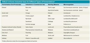 Industrial uses for fermentation