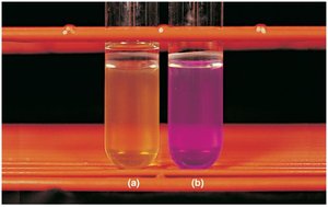 Detecting amino acid catabolizing enzymes