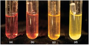 Fermentation test