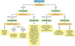 Nutritional classification of organisms