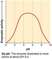 Effect of pH on enzyme activity
