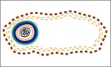 Endospore formation step 5