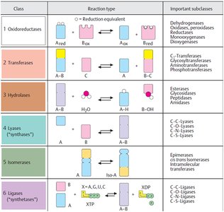 Table of enzyme classes, reaction types, and subclasses