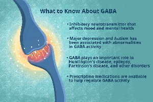 Infographic about GABA neurotransmitter