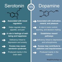 Comparison chart of serotonin vs. dopamine