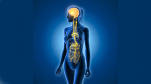 Diagram of gut-brain communication pathways