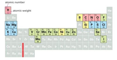 Periodic table highlighting biologically relevant elements