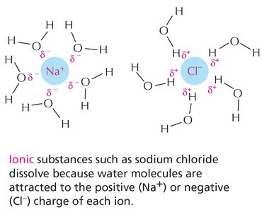 Hydration shell around ions in water