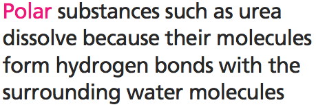 Hydrogen bonding with polar molecules