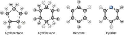 Fat molecule and adipose cell