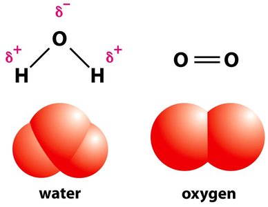 Polar and nonpolar covalent bonds in water and oxygen