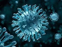 Helminths