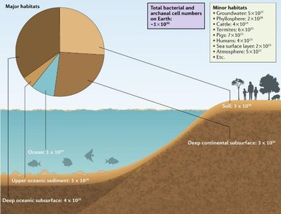 Microbes are the Most Abundant Organisms (duplicate)
