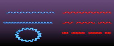 Types of viral genomes: ssDNA, dsDNA, ssRNA, dsRNA, linear, circular, segmented
