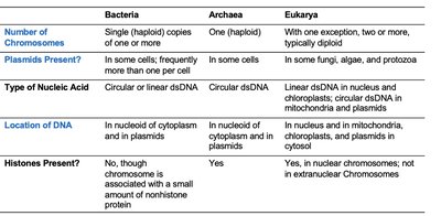 Comparison table of microbial genomes