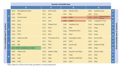 Genetic code table