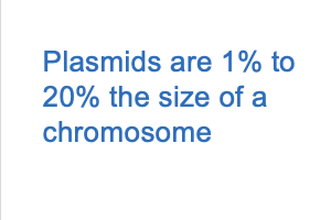 Plasmids are 1% to 20% the size of a chromosome