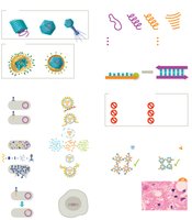 Visual summary of viruses and prions