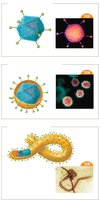 Examples of viral envelopes and spikes