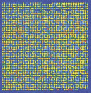 Microarray chip showing gene expression spots