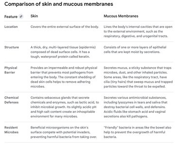 Comparison table of skin and mucous membranes