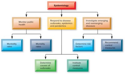 Epidemiology flowchart: monitoring, responding, investigating, and controlling disease