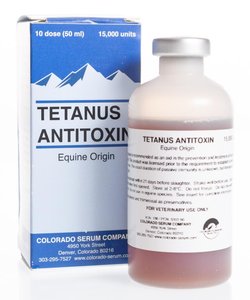 Tetanus antitoxin vaccine