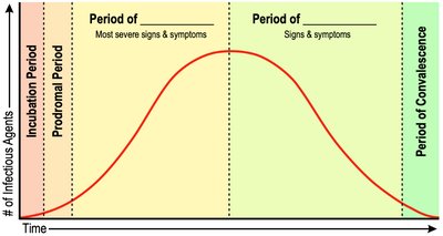 Stages of Infectious Disease Progression