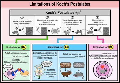 Limitations of Koch's Postulates (Detailed)