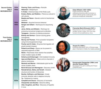 Timeline of the Second and Third Golden Ages of Microbiology