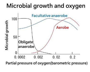 Oxygen requirements in thioglycolate tubes