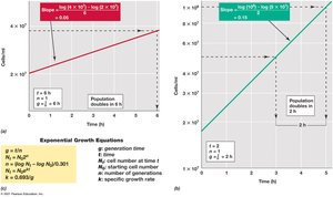 Calculating microbial growth parameters