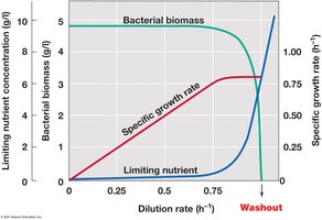 Steady-state relationships in the chemostat