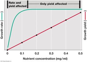 Effect of nutrients on growth in a chemostat