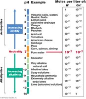 The pH scale