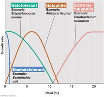 Effect of NaCl concentration on growth of microorganisms