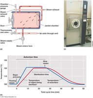 The autoclave and moist heat sterilization